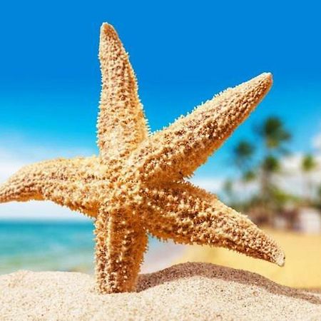 Sea Star Apartments Одеса Екстериор снимка